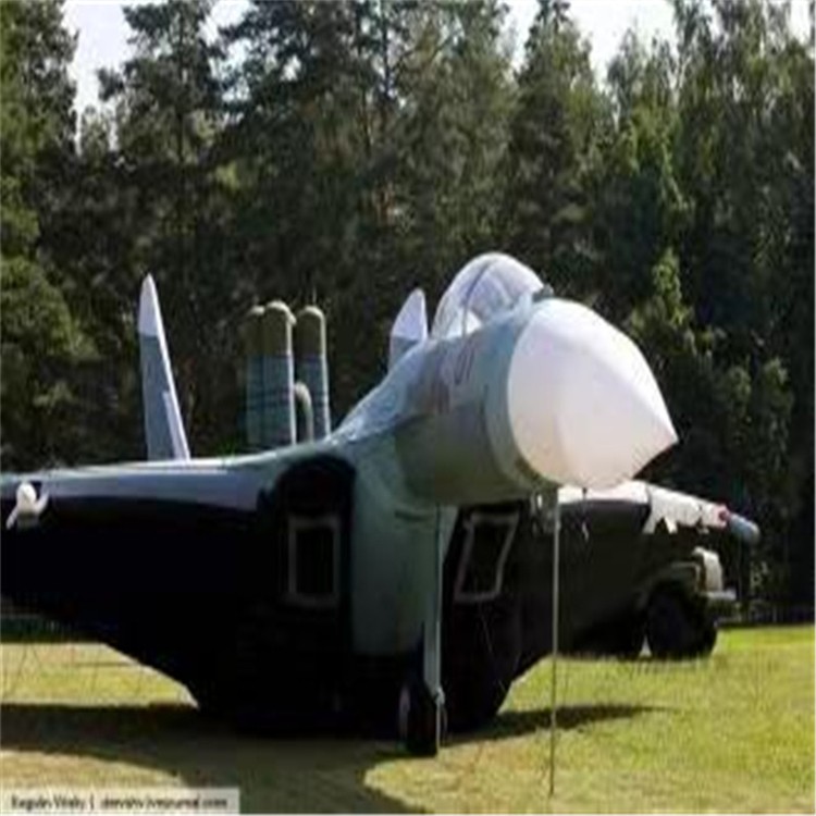 酒泉充气模型飞机制造商家